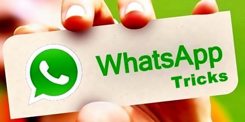 WhatsApp without Phone Number