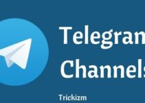 Telegram Channels